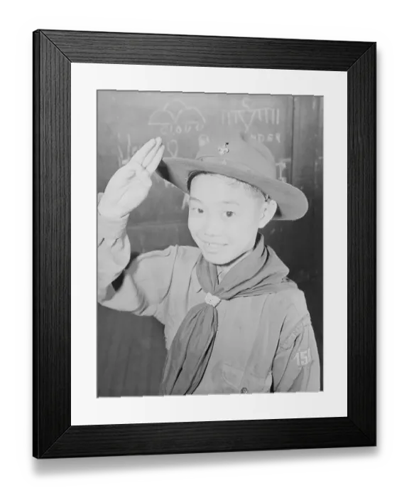 Framed Print : Boy Scout Saluting Framed Print : Boy Scout Saluting
