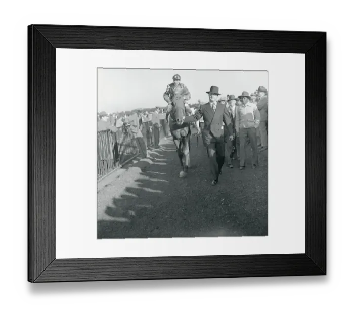 Framed Print : Georgie Woolf Riding Whirlaway into Winners Circle Framed Print : Georgie Woolf Riding Whirlaway into Winners Circle