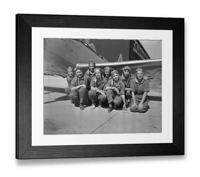 Framed Print : The New WAFS Framed Print : The New WAFS