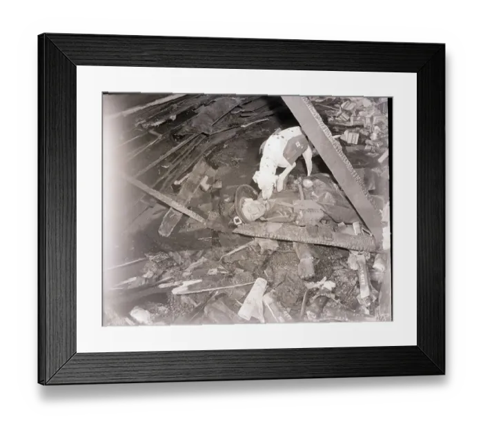 Framed Print : Rescue Dog Helping an Injured Man Framed Print : Rescue Dog Helping an Injured Man
