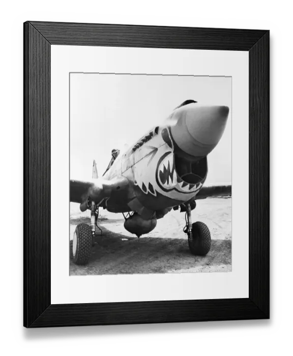 Framed Print : Flying Tiger Airplane Framed Print : Flying Tiger Airplane