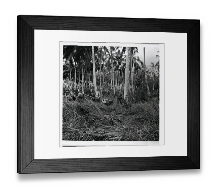 Framed Print : Marines with Equipment on Moving Detail in Guadalcanal Framed Print : Marines with Equipment on Moving Detail in Guadalcanal