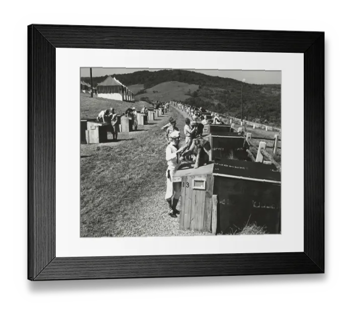 Framed Print : Grooming Dogs For Army