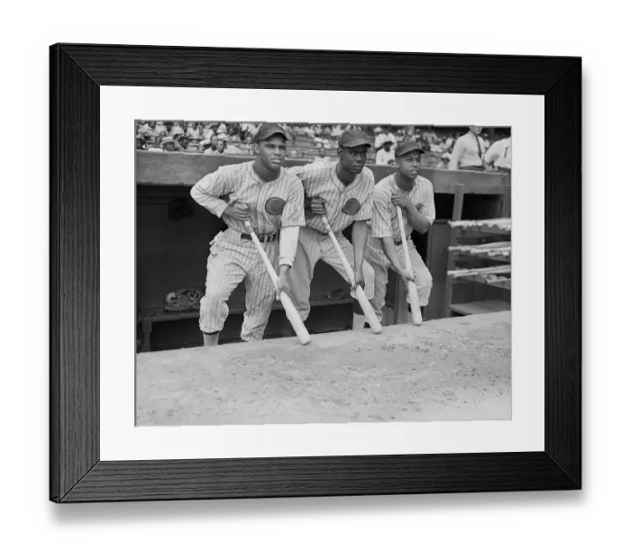 Framed Print : Chicago Giants Players Standing in Dugout Framed Print : Chicago Giants Players Standing in Dugout