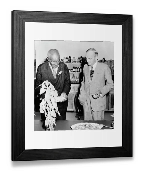 Framed Print : George Washington Carver and Henry Ford Framed Print : George Washington Carver and Henry Ford