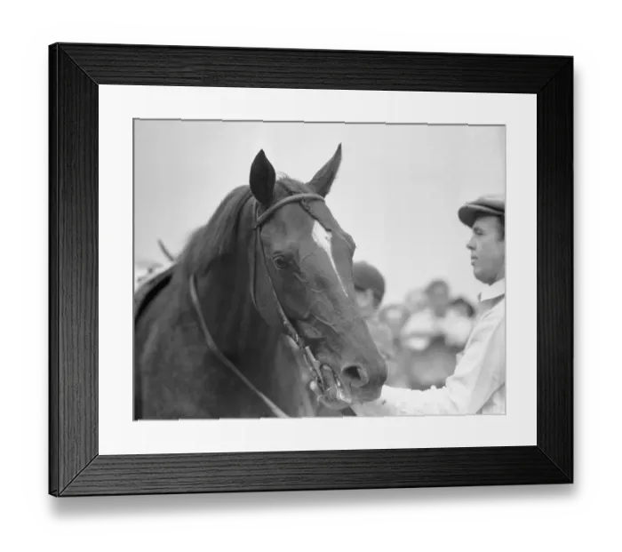Framed Print : Portrait of Whirlaway Framed Print : Portrait of Whirlaway