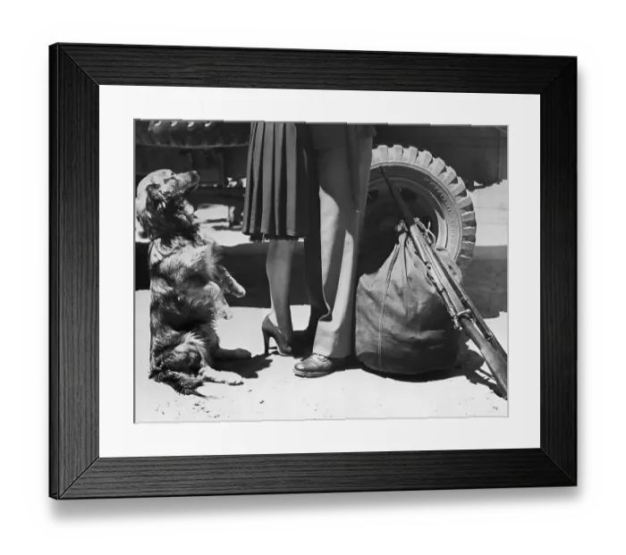 Framed Print : Dog Sits Up While Soldier Says Goodbye Framed Print : Dog Sits Up While Soldier Says Goodbye