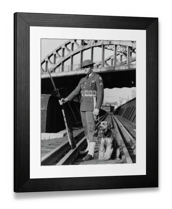 Framed Print : American Soldier & Sentry Dog Framed Print : American Soldier & Sentry Dog
