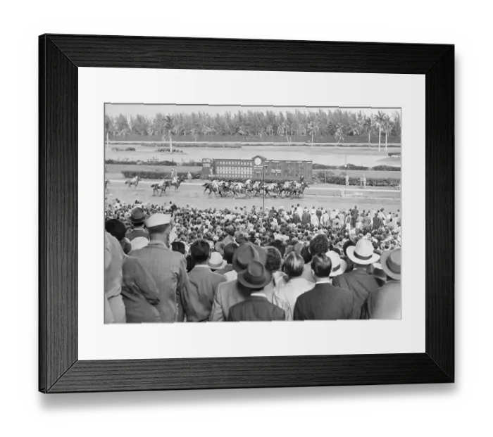 Framed Print : Horse Racing in Action Framed Print : Horse Racing in Action