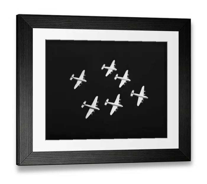 Framed Print : Night Raiders Framed Print : Night Raiders
