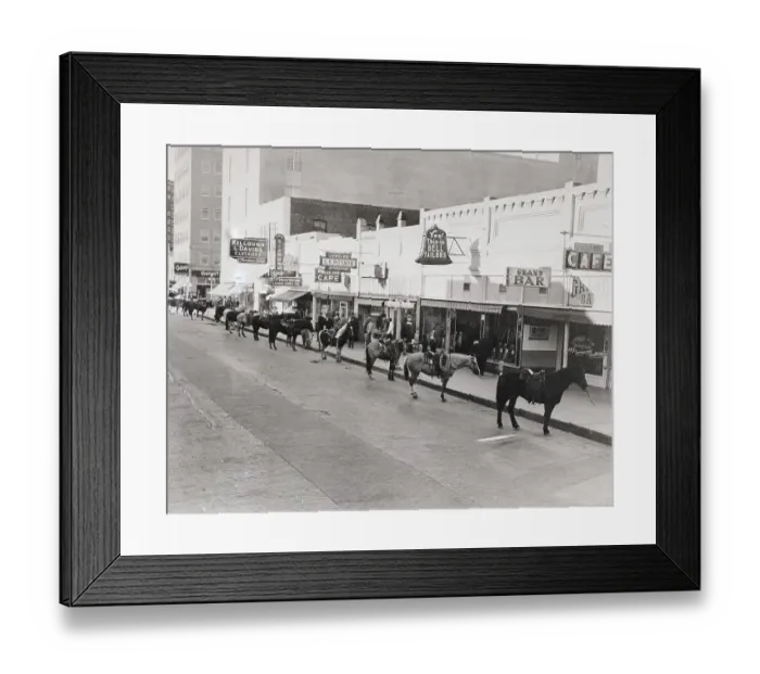 Framed Print : Horses Parked At Parking Meters Framed Print : Horses Parked At Parking Meters
