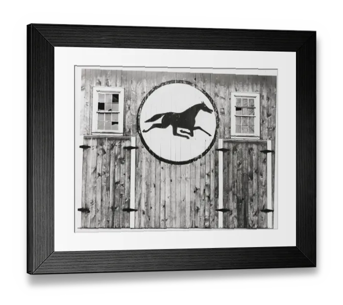Framed Print : Horse in a Circle Framed Print : Horse in a Circle