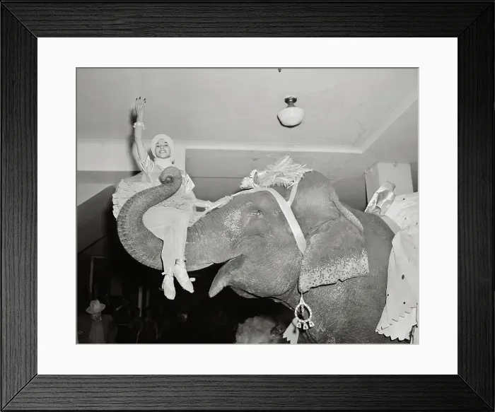 Framed Print : Costumed Dancing Elephant Carrying Female Performer Framed Print : Costumed Dancing Elephant Carrying Female Performer