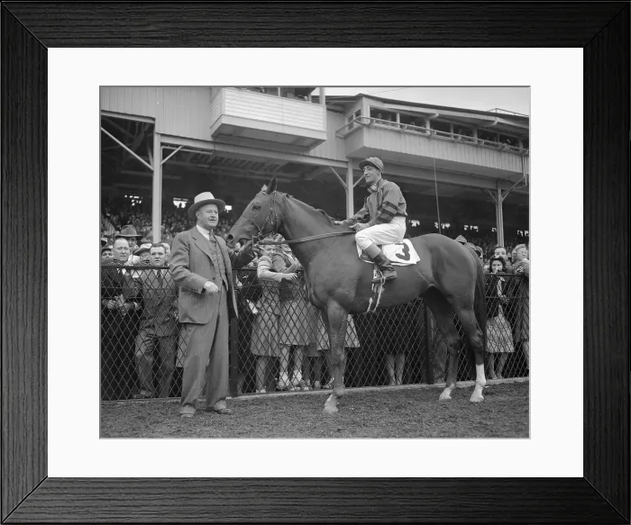 Framed Print : Whirlaway Standing Beside Racing Spectators Framed Print : Whirlaway Standing Beside Racing Spectators