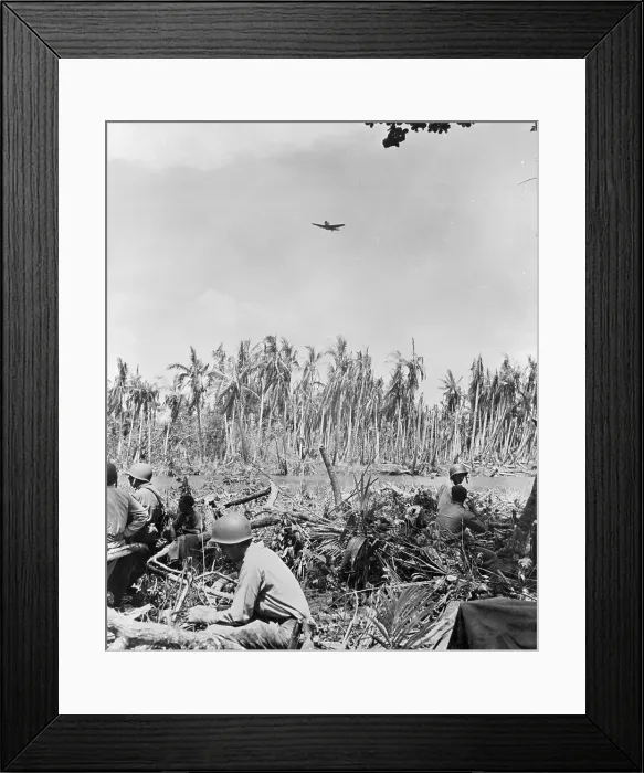 Framed Print : Marines Squatting in Jungle Nest Framed Print : Marines Squatting in Jungle Nest