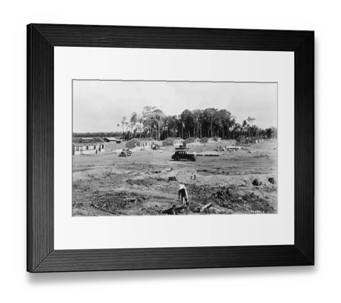 Framed Print : Ford Motor Company Rubber Plantation Framed Print : Ford Motor Company Rubber Plantation