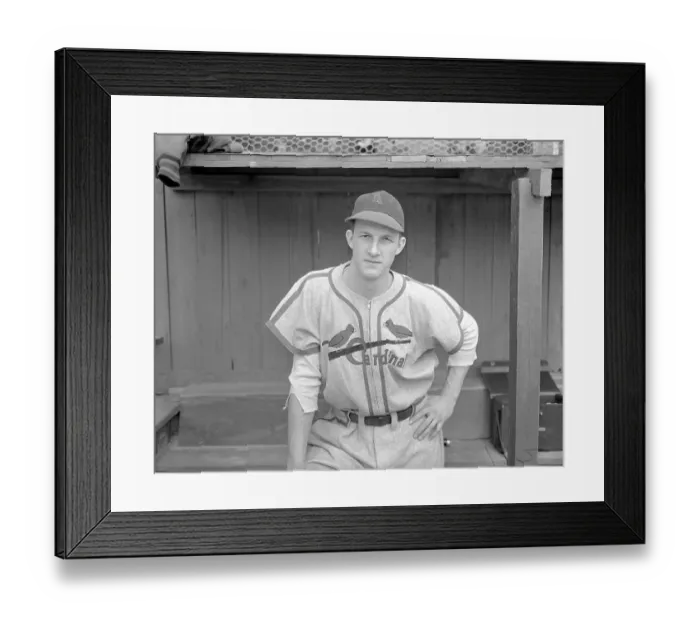 Framed Print : Stanley Musial Outfielder for Cardinals Posing in Uniform Framed Print : Stanley Musial Outfielder for Cardinals Posing in Uniform