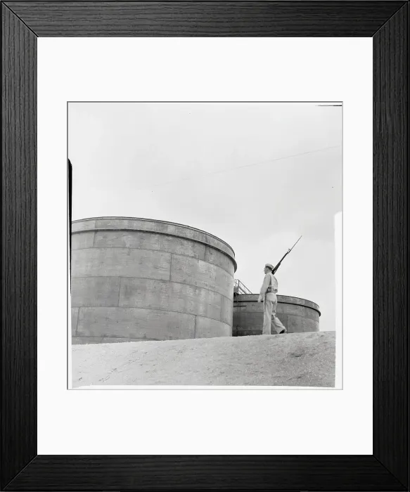 Framed Print : Armed Bayonet Walking Framed Print : Armed Bayonet Walking