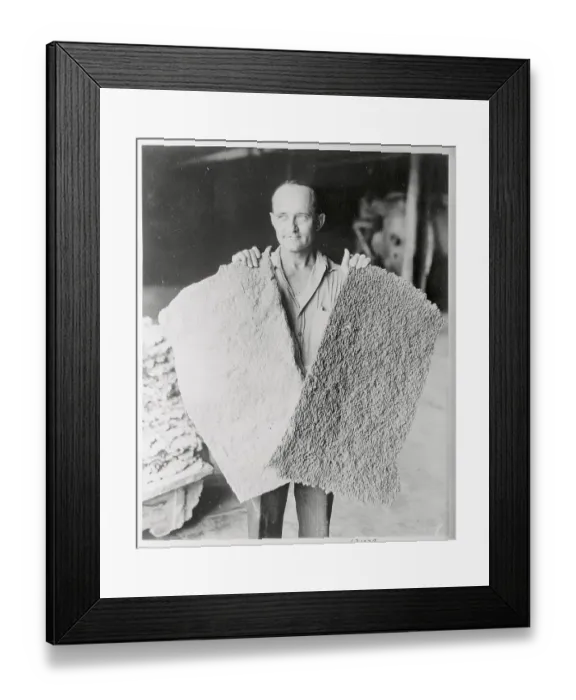 Framed Print : Worker Displaying Synthetic Rubber Framed Print : Worker Displaying Synthetic Rubber