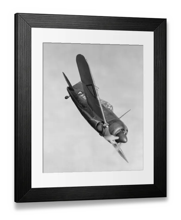 Framed Print : Brewster Buffalo Fighters Framed Print : Brewster Buffalo Fighters