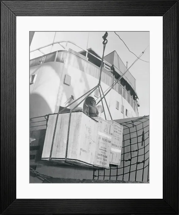 Framed Print : Hams Being Sent to Britain Framed Print : Hams Being Sent to Britain