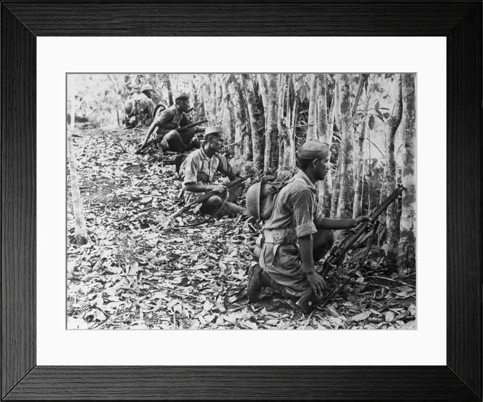 Framed Print : Malaysian Soldiers Crouched Near Trees Framed Print : Malaysian Soldiers Crouched Near Trees