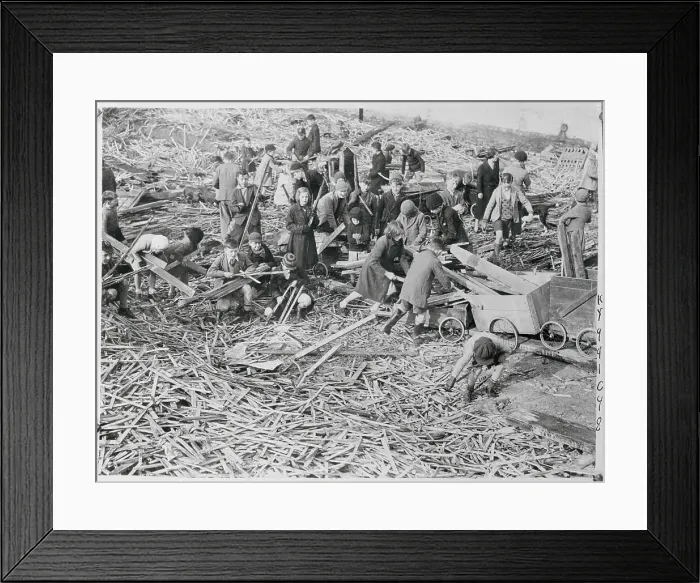 Framed Print : Collecting Firewood Framed Print : Collecting Firewood