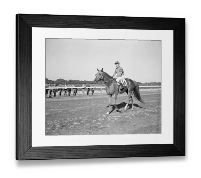 Framed Print : Whirlaway Walking on Belmont Park Racetrack Framed Print : Whirlaway Walking on Belmont Park Racetrack