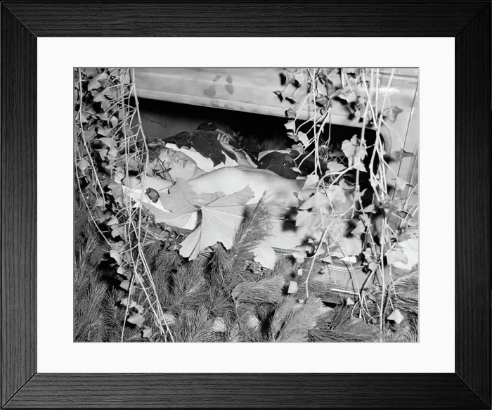 Framed Print : Nude Girl Sleeping in Automobile with Flowers Framed Print : Nude Girl Sleeping in Automobile with Flowers