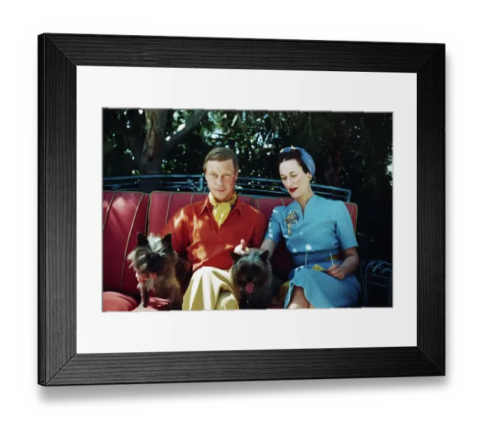 Framed Print : Duke and Duchess of Windsor with Dogs