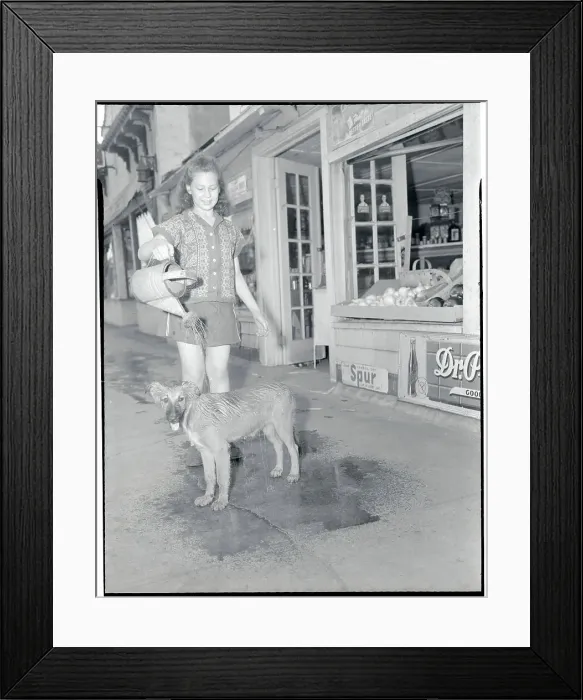 Framed Print : Girl Using Watering Pot to Cool Her Dog from the Heat Framed Print : Girl Using Watering Pot to Cool Her Dog from the Heat