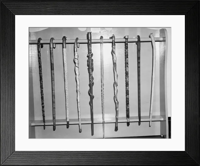 Framed Print : Canes in FDR Library Collection Framed Print : Canes in FDR Library Collection