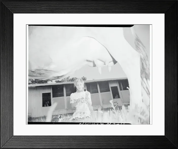 Framed Print : Eva Gabor Breaking Eggs Framed Print : Eva Gabor Breaking Eggs