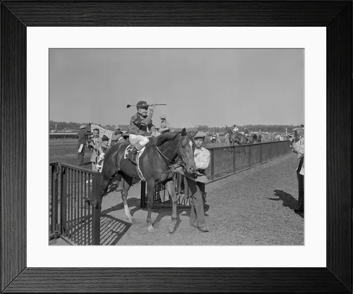 Framed Print : Whirlaway Entering Belmont Winner's Circle Framed Print : Whirlaway Entering Belmont Winner's Circle