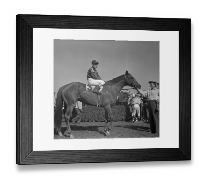 Framed Print : Whirlaway in Belmont Winner's Circle Framed Print : Whirlaway in Belmont Winner's Circle