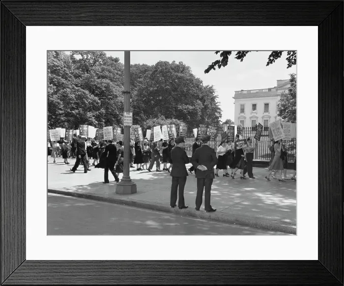 Framed Print : Reinforcements Swell Ranks of Peace Mobilization Framed Print : Reinforcements Swell Ranks of Peace Mobilization