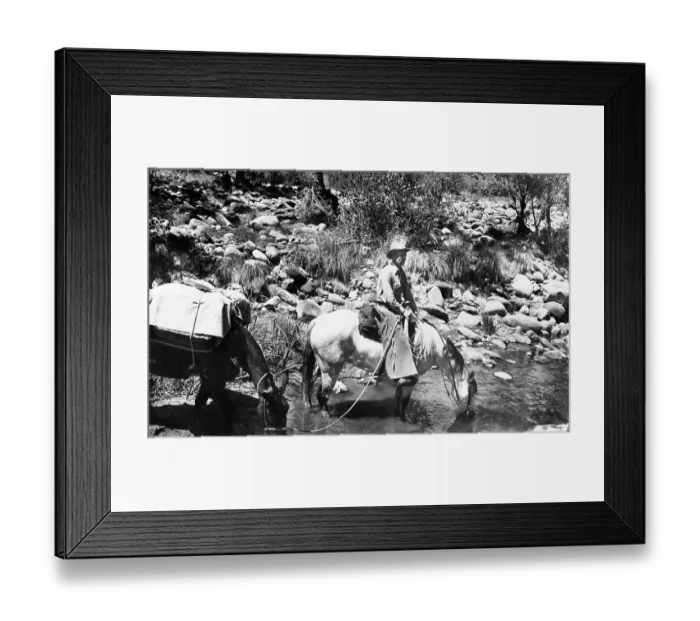 Framed Print : U.S. Forest Service Framed Print : U.S. Forest Service