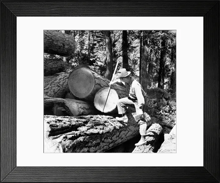 Framed Print : U.S. Forest Service Framed Print : U.S. Forest Service