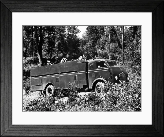 Framed Print : Truck Full of Mules