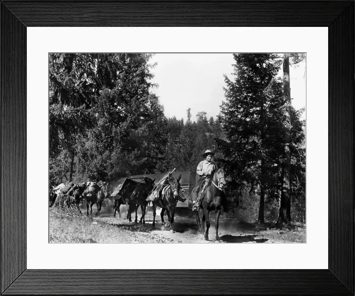 Framed Print : U.S. Forest Service Framed Print : U.S. Forest Service