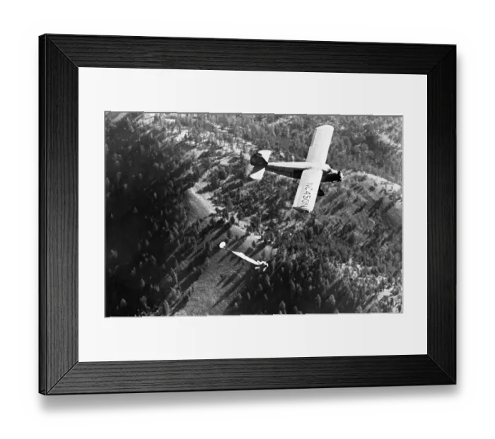 Framed Print : U.S. Forest Service