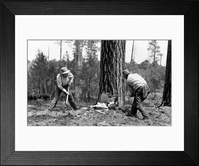 Framed Print : U.S. Forest Service Framed Print : U.S. Forest Service