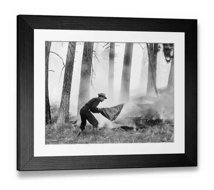 Framed Print : U.S. Forest Service Framed Print : U.S. Forest Service