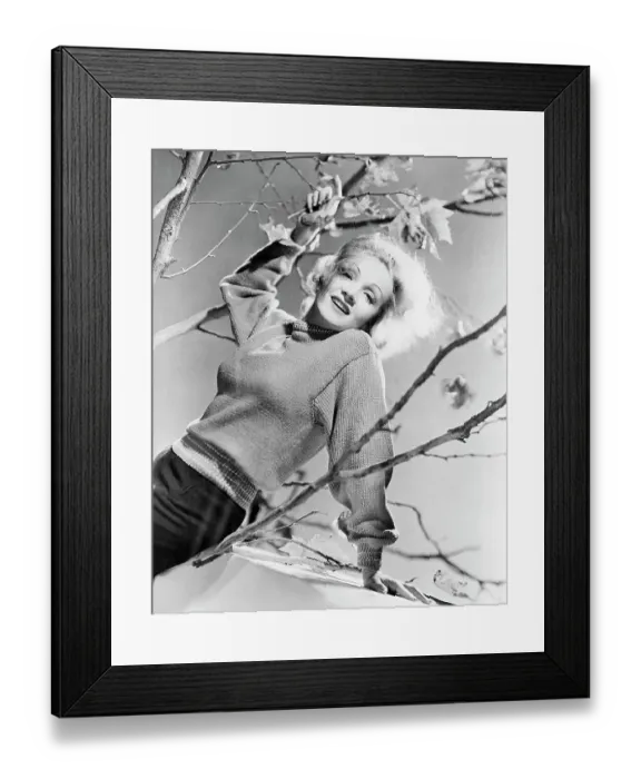 Framed Print : Marlene Dietrich Framed Print : Marlene Dietrich