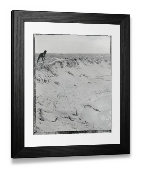 Framed Print : Aborigine Spearing Lizard Framed Print : Aborigine Spearing Lizard