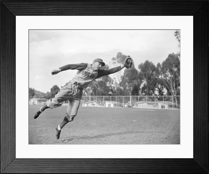 Framed Print : Lennie Merullo Catching Baseball Framed Print : Lennie Merullo Catching Baseball