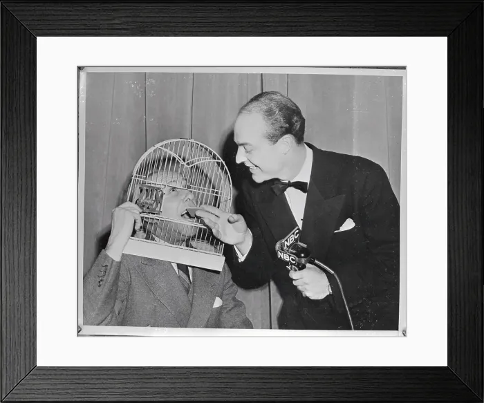 Framed Print : Loser of Contest Wearing Cage