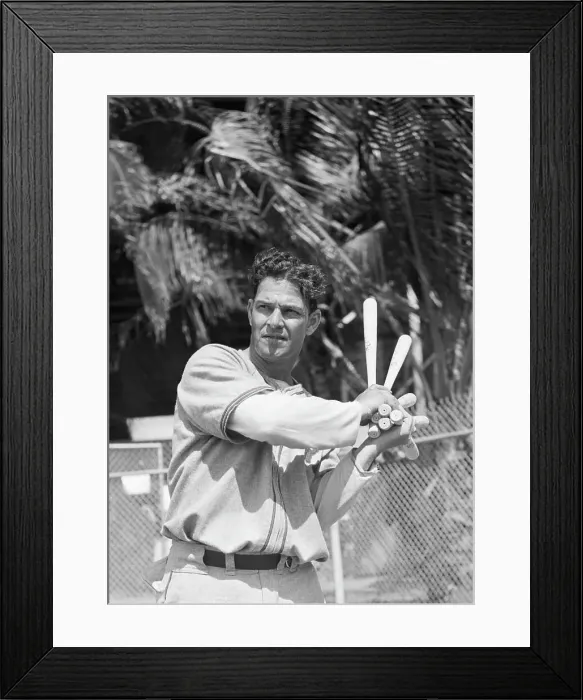 Framed Print : Mell Ott Swinging Handful Of Small Bats Framed Print : Mell Ott Swinging Handful Of Small Bats