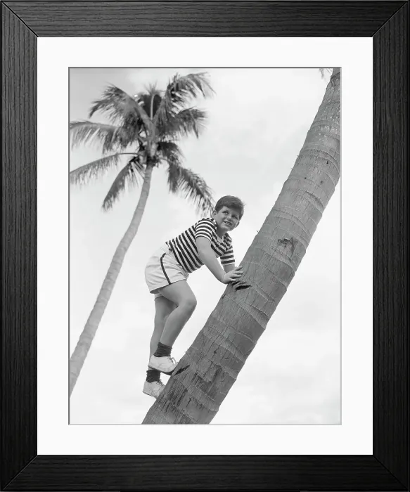 Framed Print : Teddy Kennedy Climbing A Palm Tree