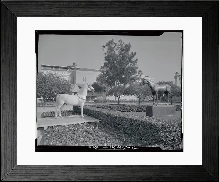 Framed Print : Statue of Racehorse Seabiscuit Framed Print : Statue of Racehorse Seabiscuit